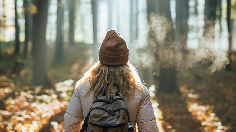 Woman hiking amongst trees