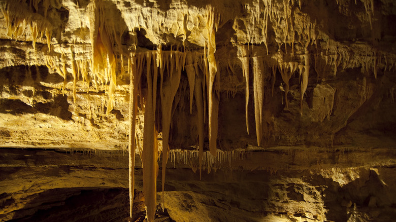 Stalagmites up close in cave