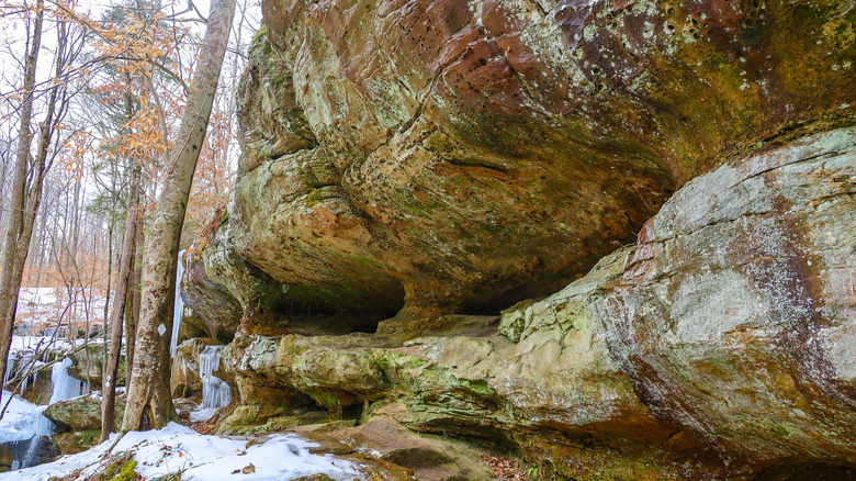 Hoosier National Forest in winter