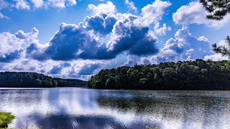 West Point Lake