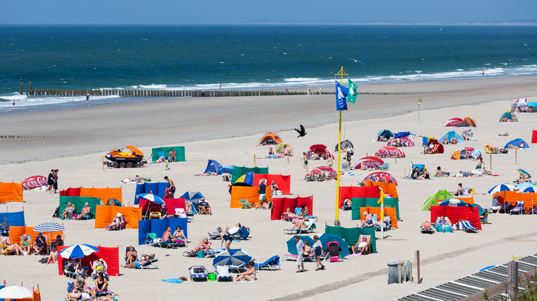 Beach in Domburg, Netherlands