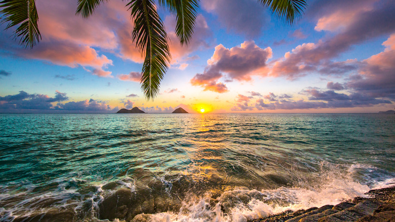 Kailua Beach 