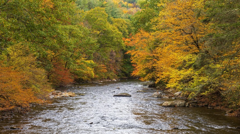 Shepaug River in fall foliage