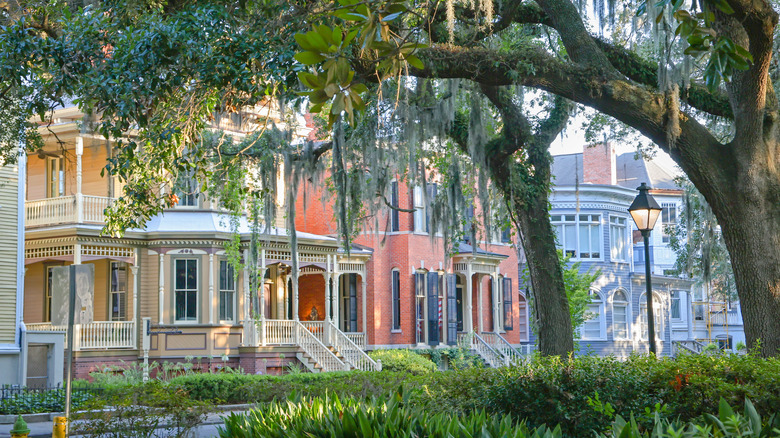 Oak trees and colonial houses in downtown Savannah