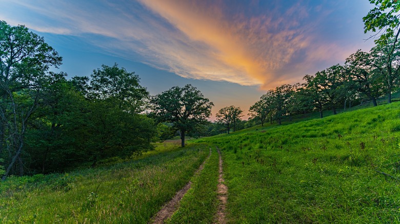 Trail at Hitchcock Nature Center at sunrise