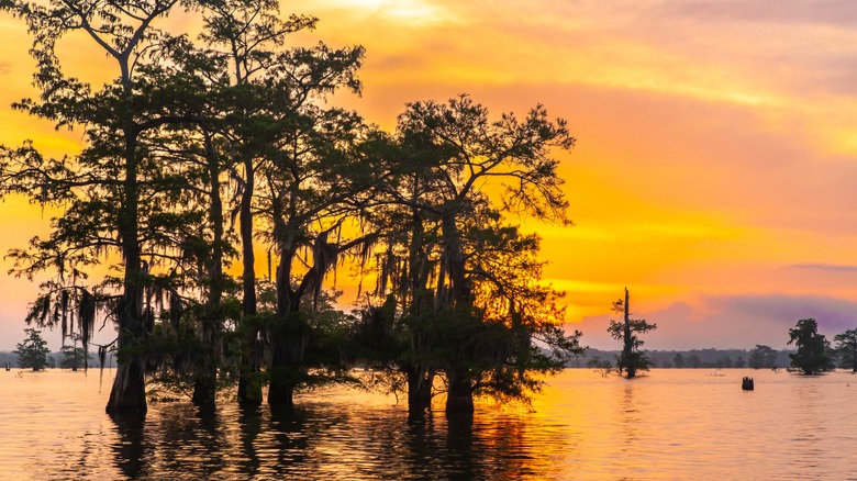 Sunrise over Atchafalaya Basin