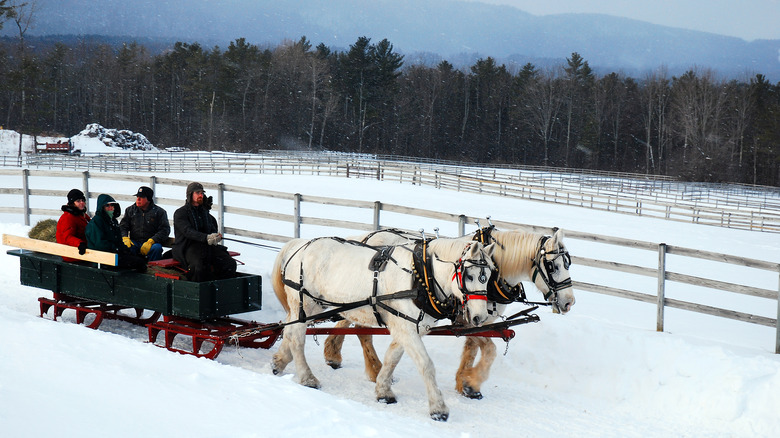 Four people riding horse drawn sleigh in snowy Stockbridge