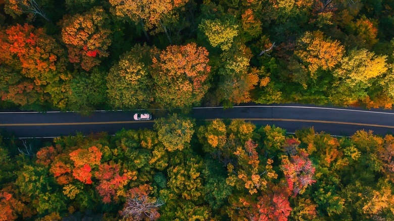 Aerial image of car driving through fall foliage