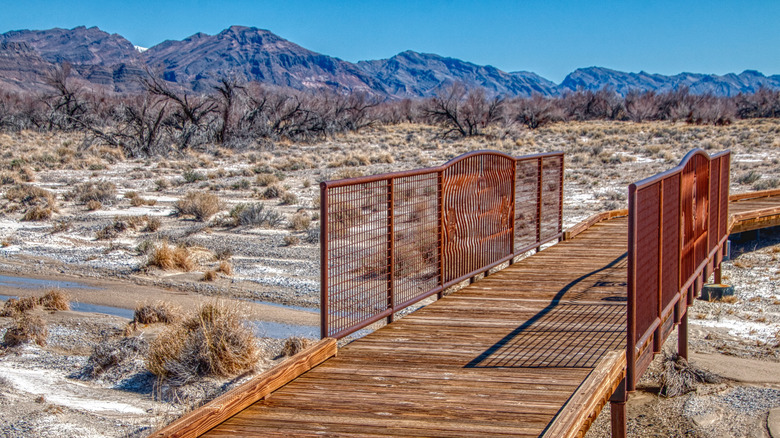 Bridge in Ash Meadows National Wildlife Refuge