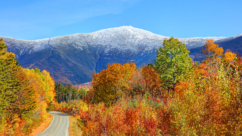 Fall foliage with Mount Washington in background