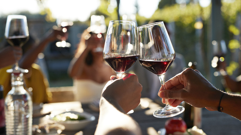 Friends toasting wine glasses