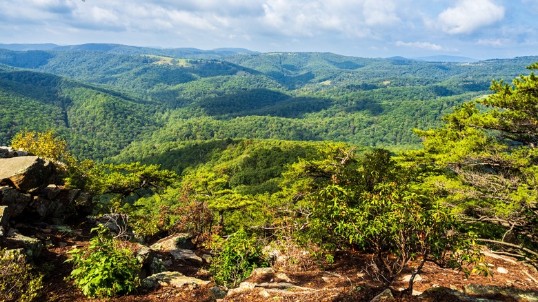 View of mountains from Cranny Crow Overlook