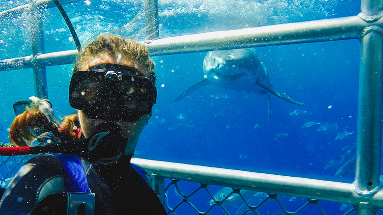 Diver taking a selfie from the cage