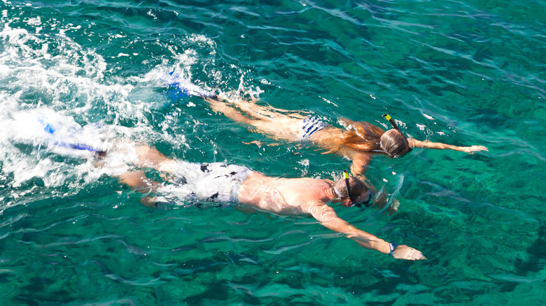 Couple snorkeling in Mallorca