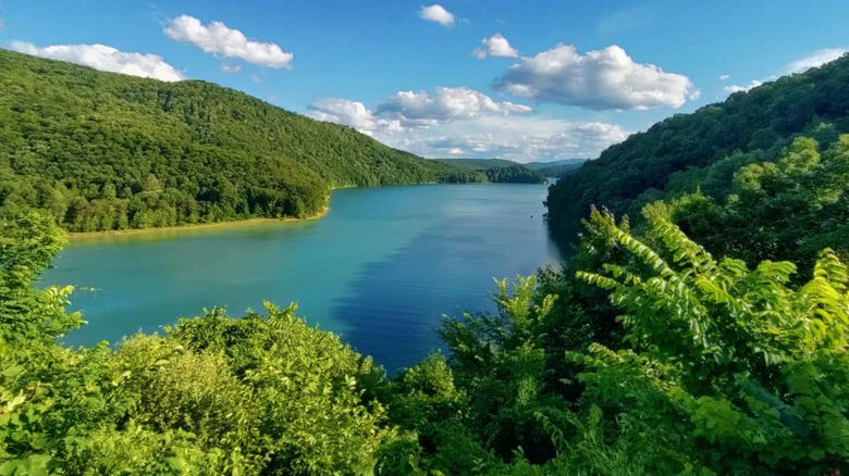 Aerial view of Lake Moomaw