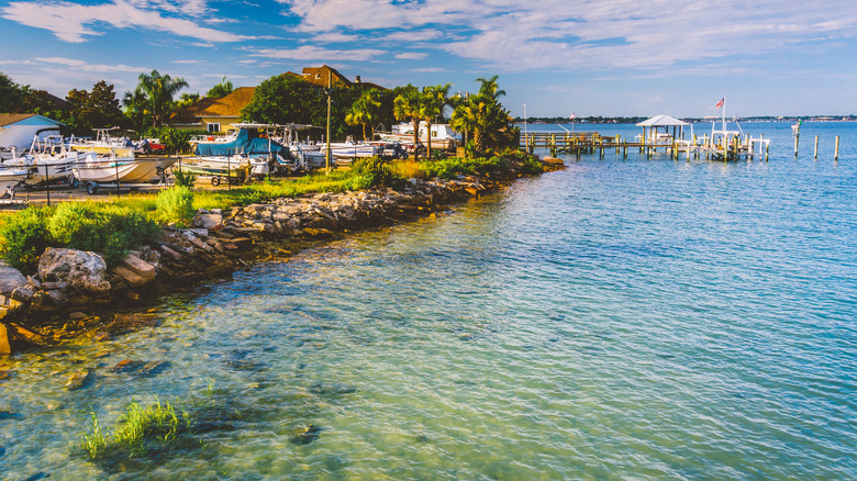 Shores of Tolomato River