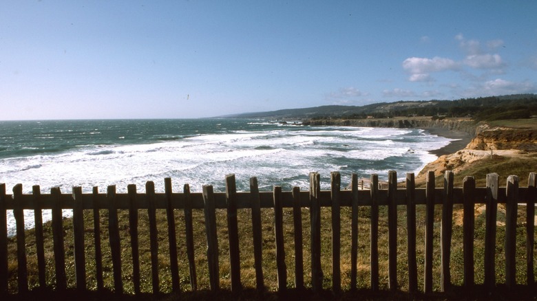 view of sea ranch coast