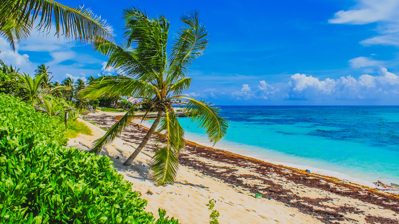 Elbow Cay, Bahamas