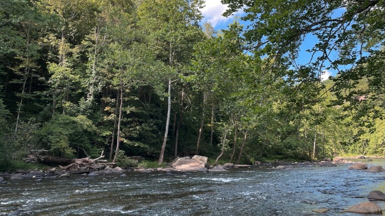 tree-lined river in West Virginia