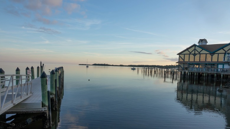 Docks in the ocean