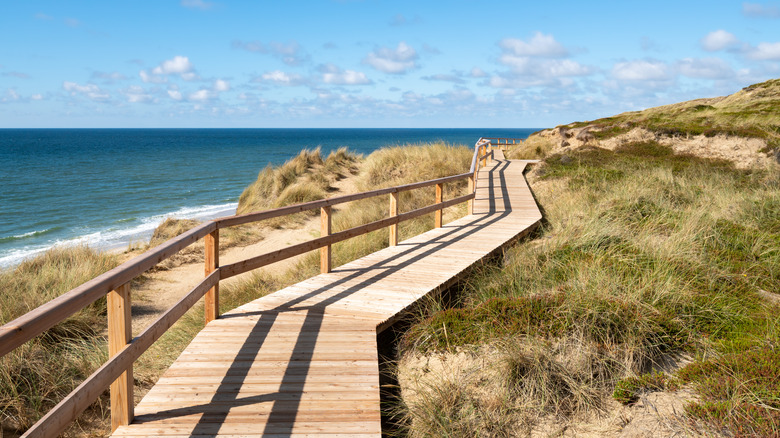 Wooden boardwalk by the beach in Sylt