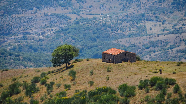 Farmhouse in the Madonie Mountains