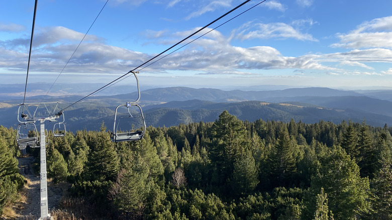 Cable car on forested mountain