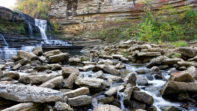 Cummins Falls State Park Gorge