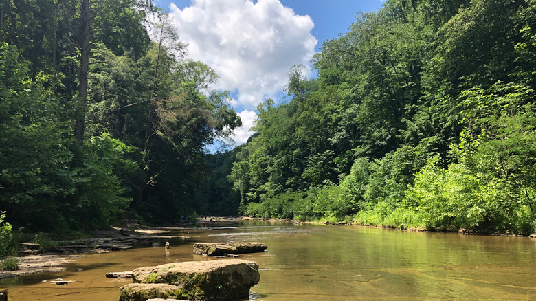 Rivers in Cummins Falls State Park