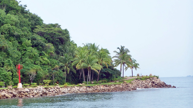 Jungle and coastline