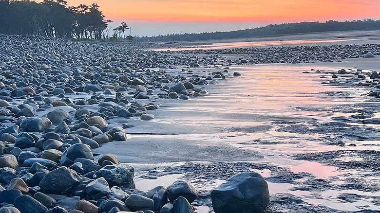 rocky beach glowing at sunset