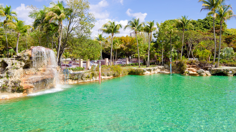 Venetian Pool empty