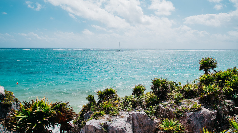 Yucatan coastline of Sian Ka'an