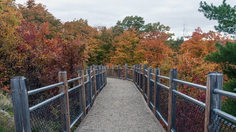 accessible trail through autumn trees