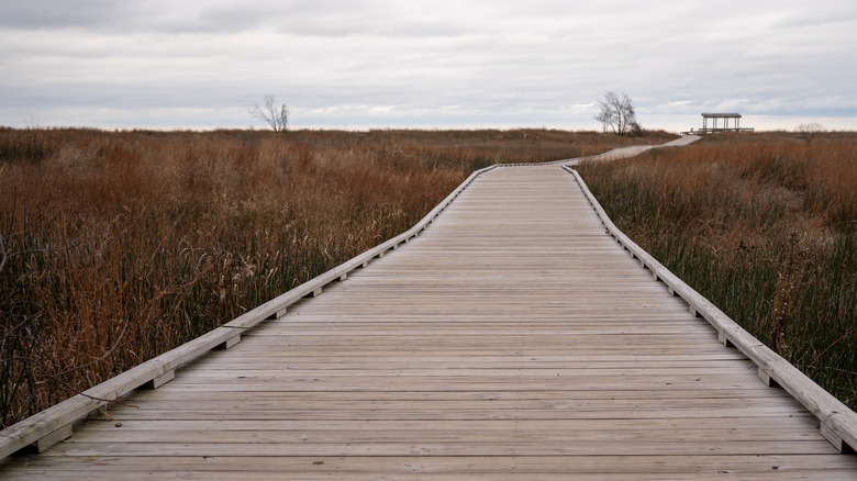 Boardwalk near Headlands Beach