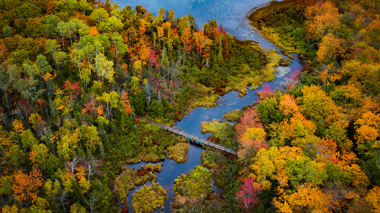Fall colors along a river in Porcupine Mountains Wilderness State Park