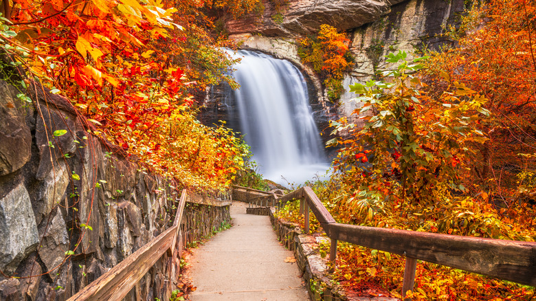 Looking Glass Falls