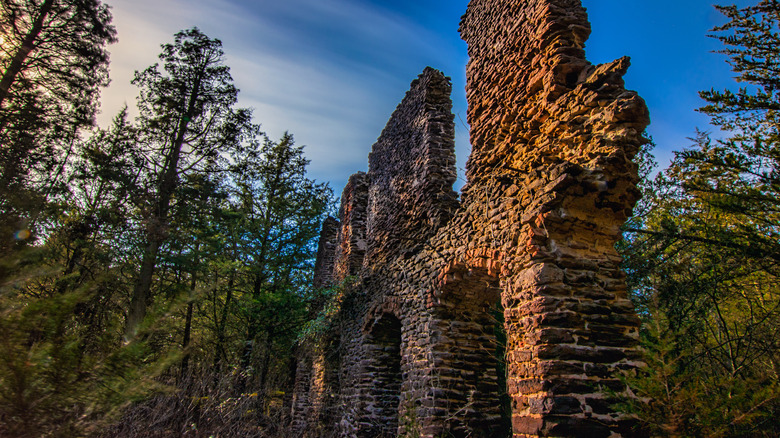 Building ruins in the Pine Barrens