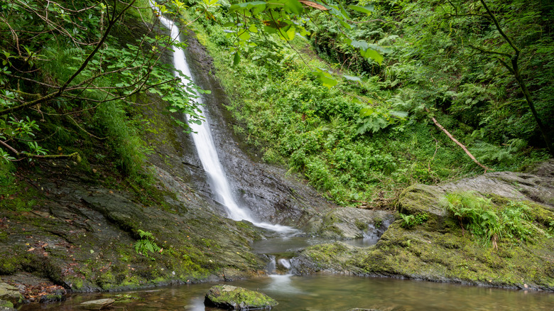 Waterfall at Lydford Gorge