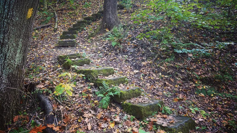 Enchanted Stairs, Dead Man's Hollow 