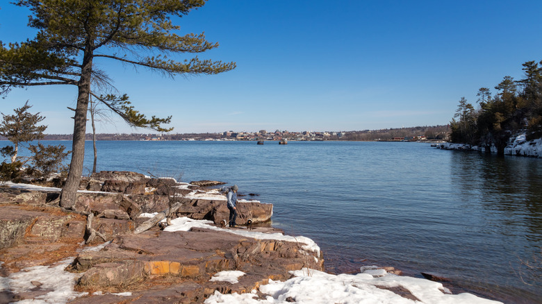 person walking dogs on Lake Champlain in winter