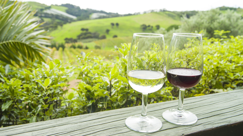 wine tasting on waiheke island