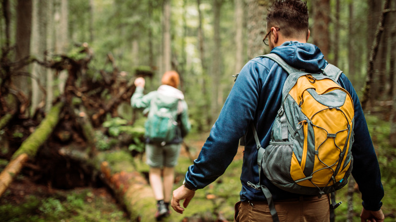 Two people hiking in forest