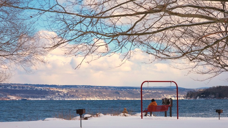 Person overlooking wintertime Cayuga Lake