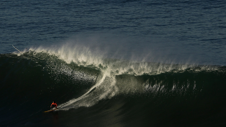 Surfing Mavericks, Half Moon Bay