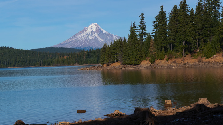 Timothy Lake