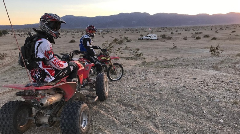 People riding quads Ocotillo Wells State Vehicular Recreation Area