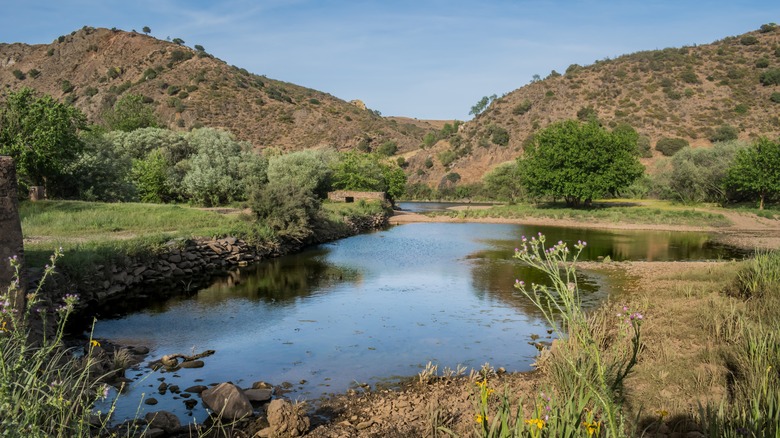 Guadiana Valley Natural Park vegetation