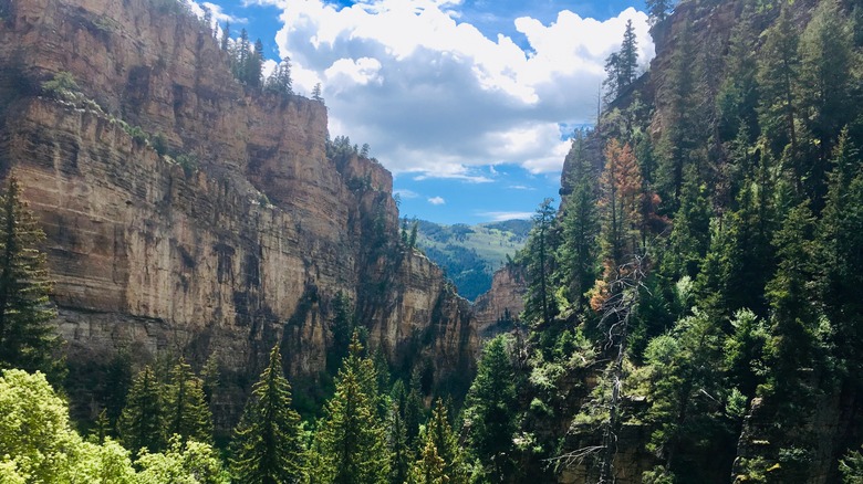 canyon view from the trail