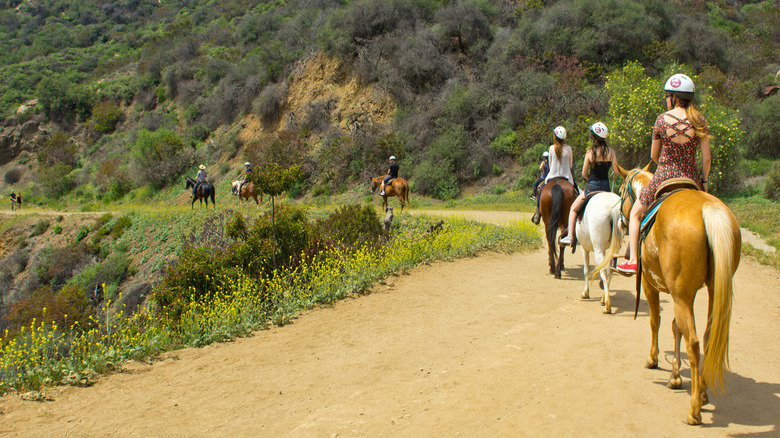 Horseback Riding Griffith Park L.A.